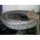 Galvanized Razor Wire ( Kawat Duri ) 1